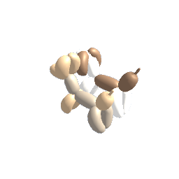 balloon dog jct