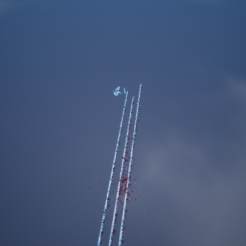 penis
