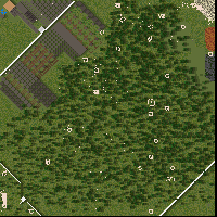 Max Limit
