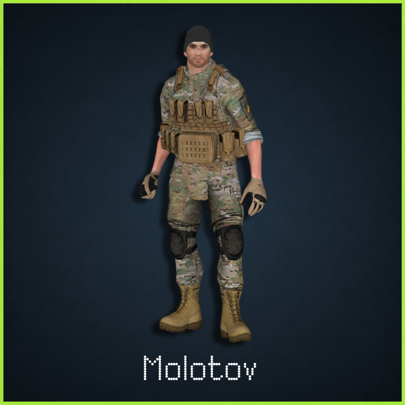 National Guard:Molotov preview