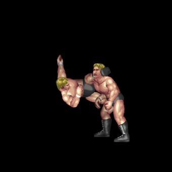 Step-In Enzuigiri B