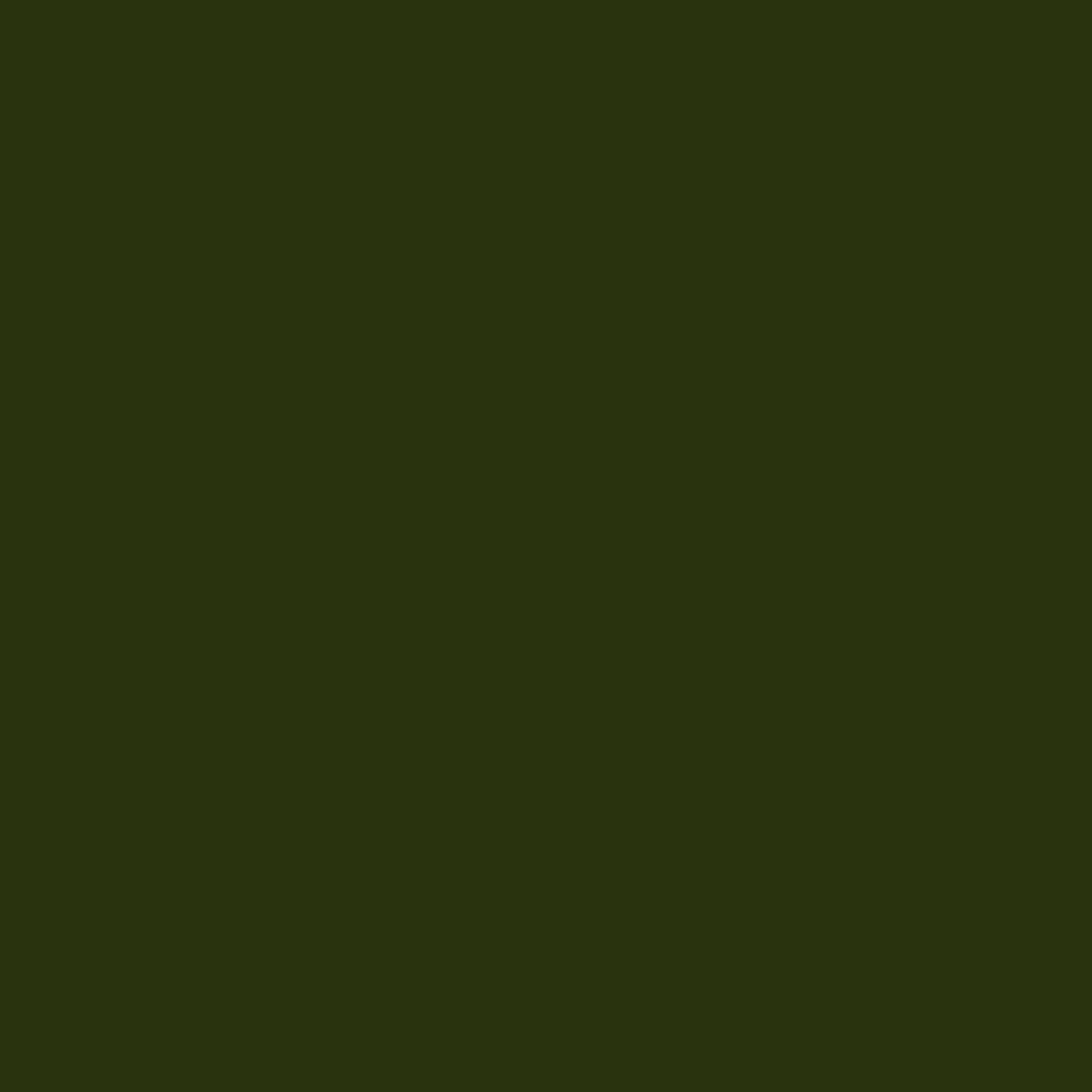 PROJECT-199 XF-11_J.N.GREEN