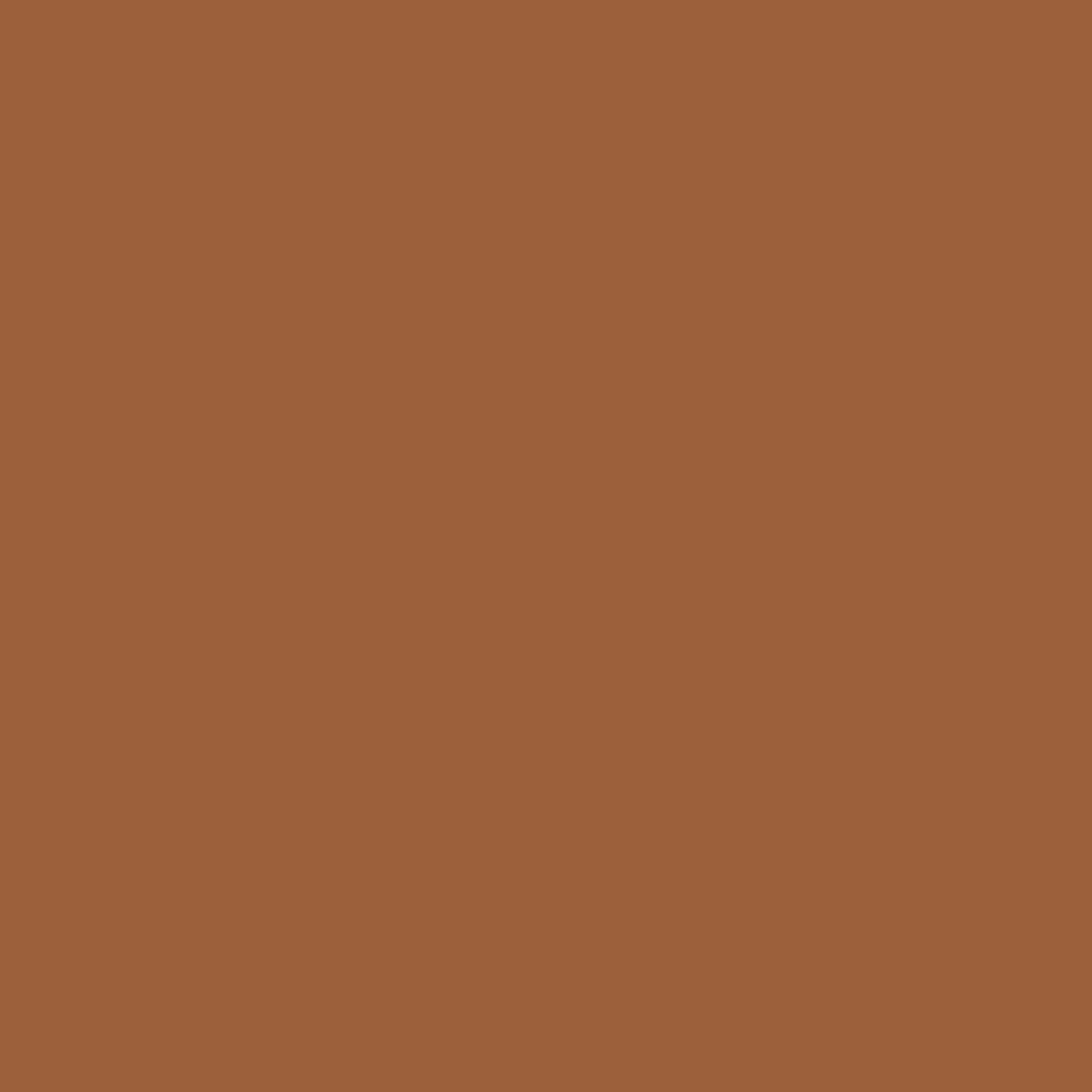 PROJECT-199 XF-28_DARK COPPER