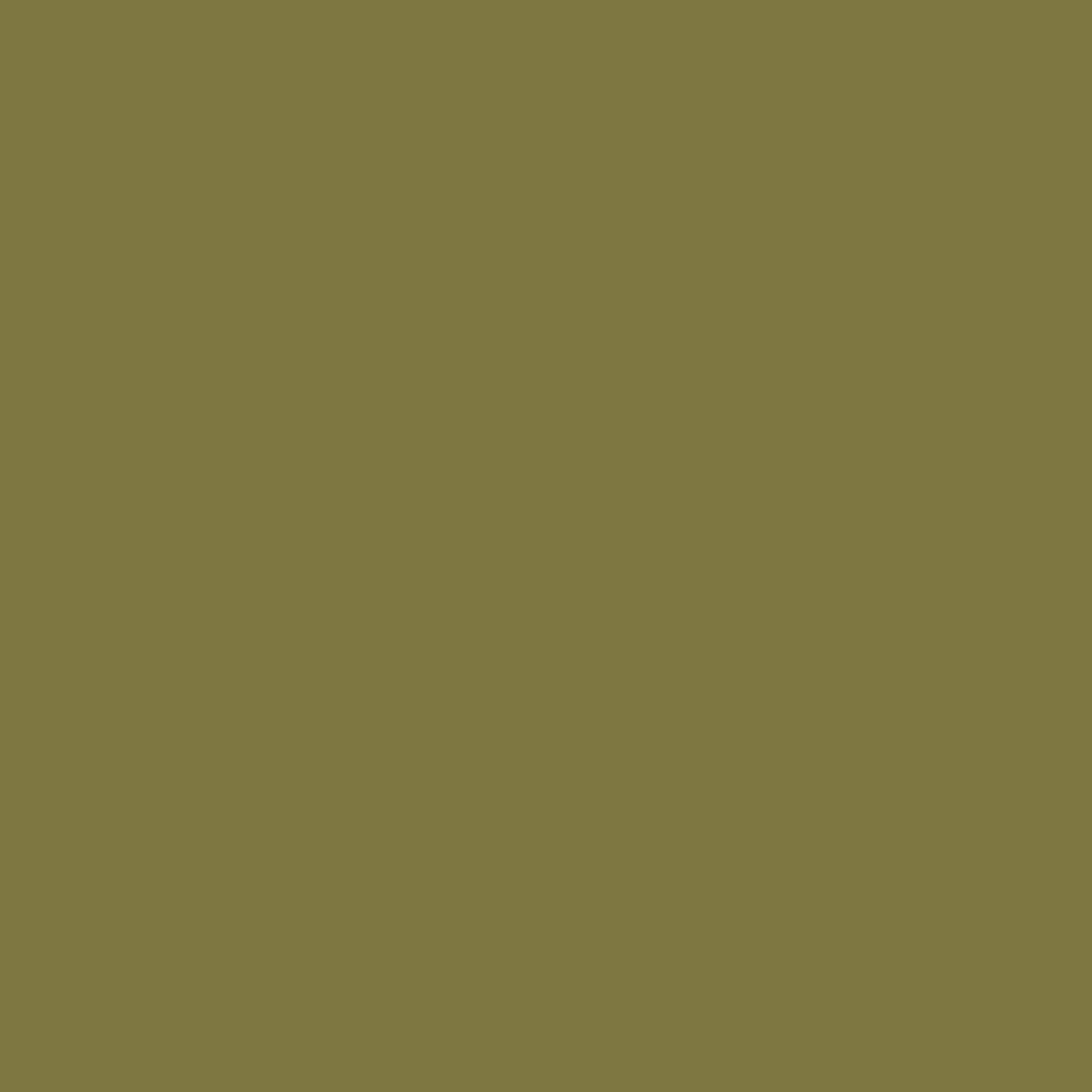 PROJECT-199 XF-49_KHAKI