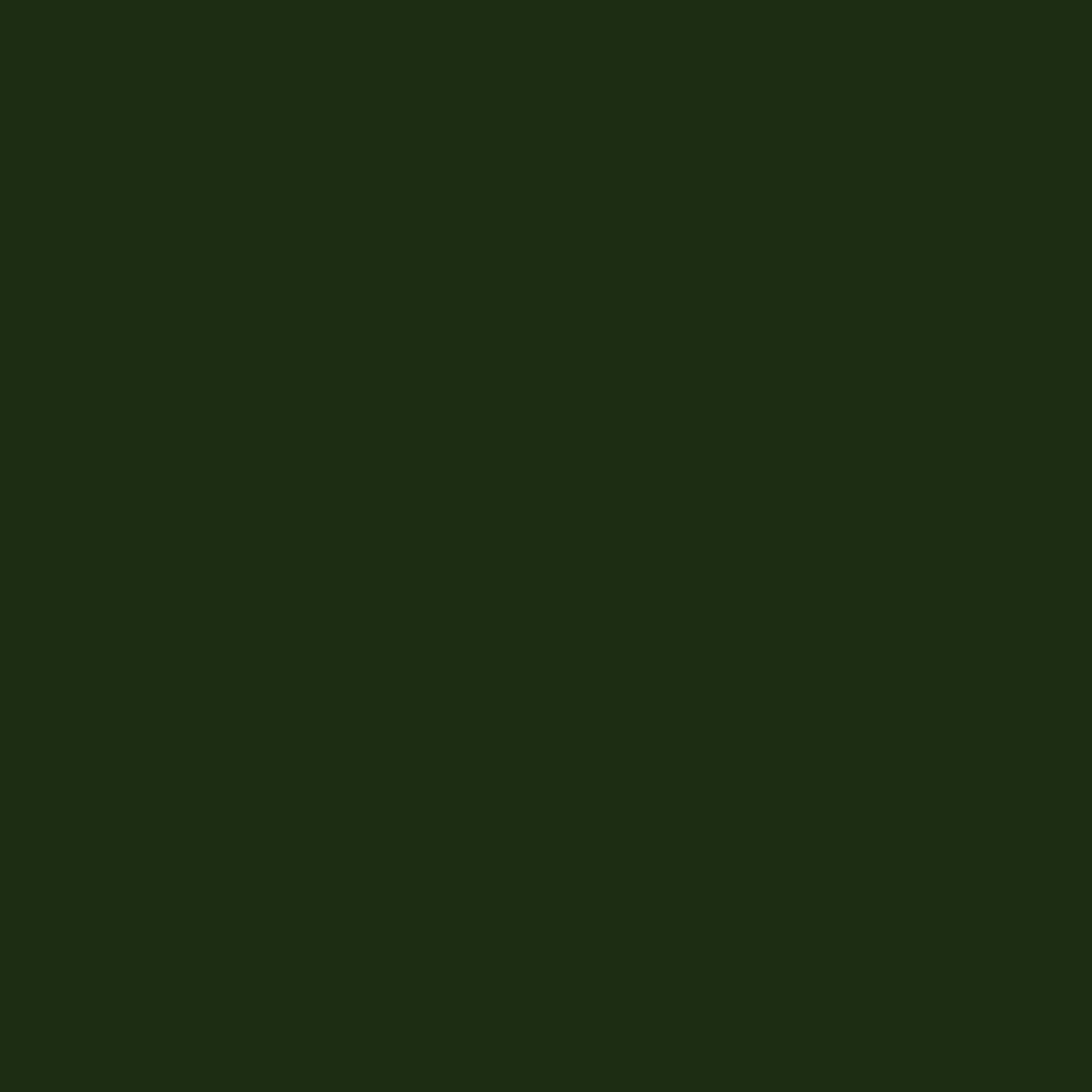 PROJECT-199 XF-61_DARK GREEN
