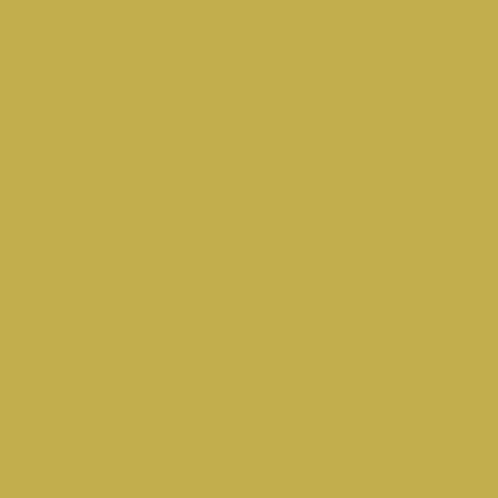 PROJECT-199 XF-88_DARK YELLOW 2