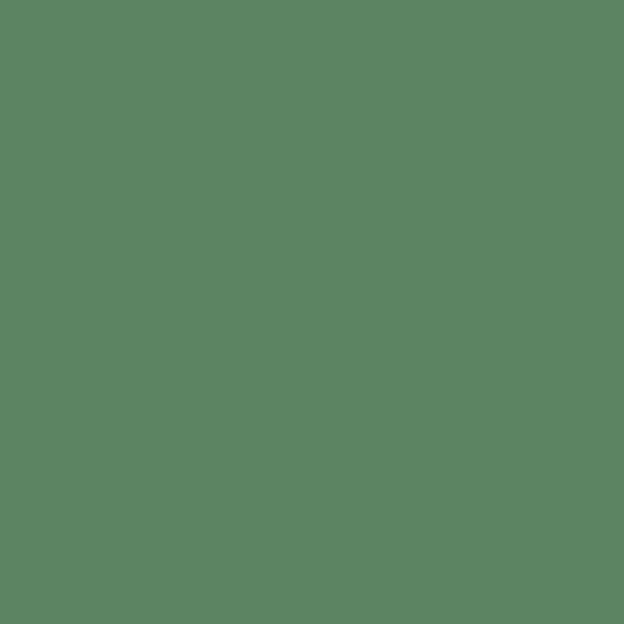 PROJECT-199 XF-89_DARK GREEN 2