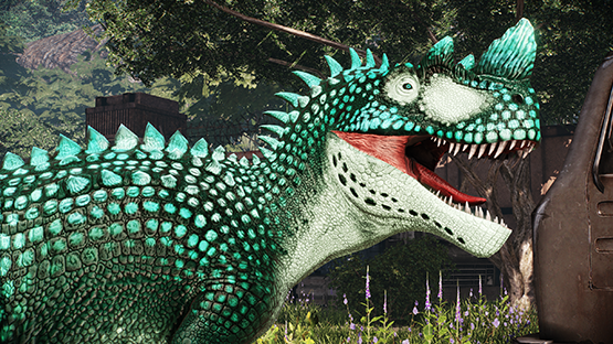 Abronia Cerato