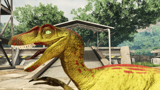 Yellow Tomato Novaraptor [Free Drop]