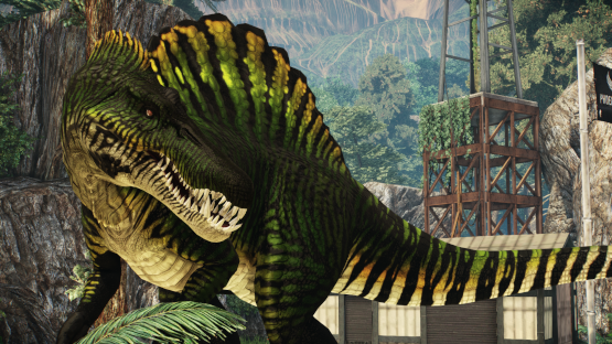 Black River Spino [St.Patricks]