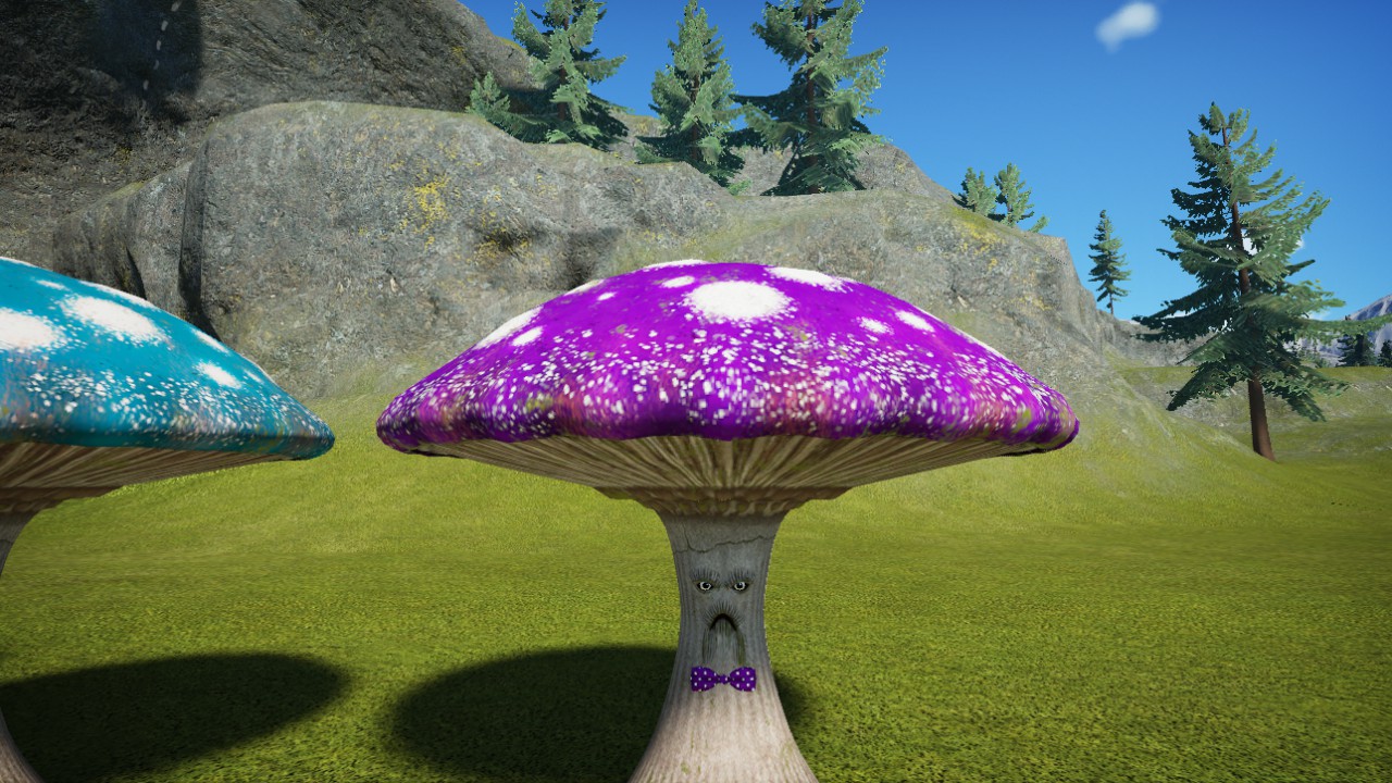 Mushroom - champignon 04