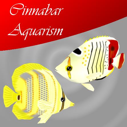 CA - Butterflyfish duo 2