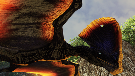 Pinnate Spadefish Tupa [free drop]