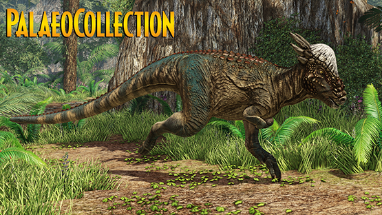 PalaeoCollection Pachycephalosaurus Spinifer