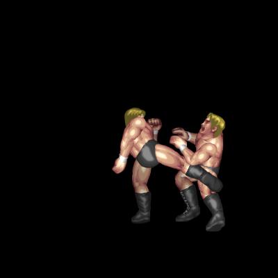 Low Kicks (M grapple)