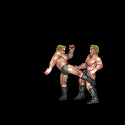 Low Kick (S grapple)