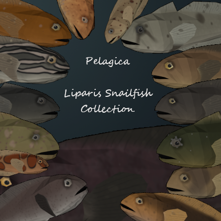 Pelagica - Liparis Snailfish Collection