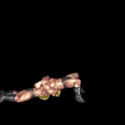 Cattle Mutilation B (face down, near head)