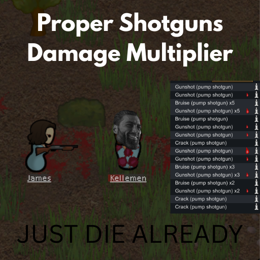 Shotgun Damage Multiplier