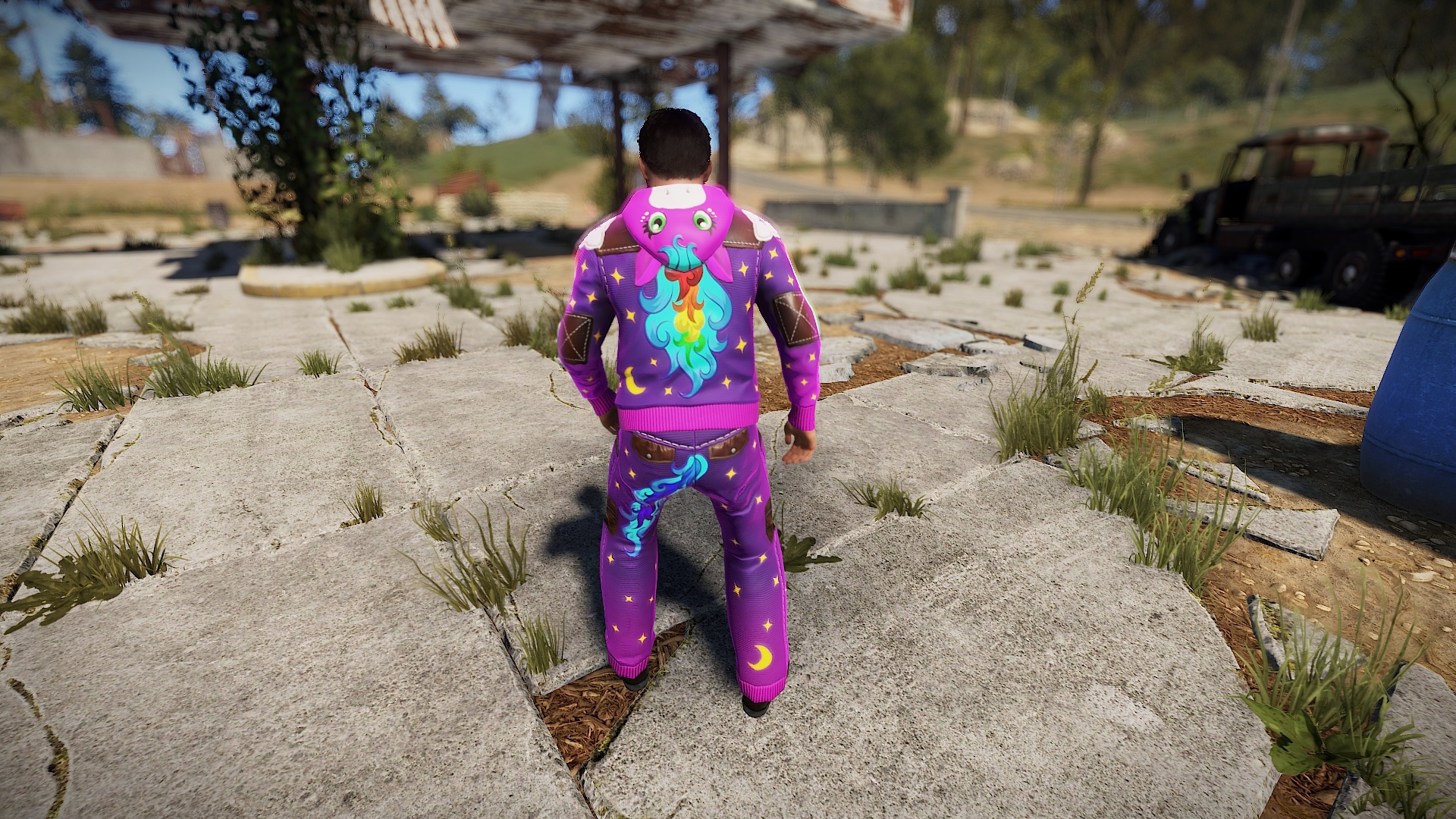 Rainbow Pony Pants