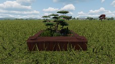 Bonsai tree planter 3