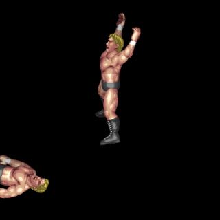 Tanahashi's Diving Sunset Flip(Pin)