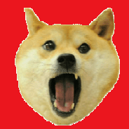 Dont Touch Doge