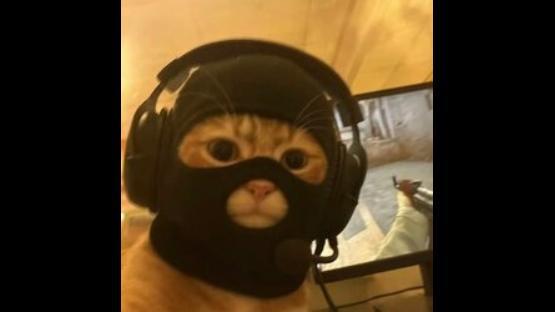 de_Cat II – Counter-Strike 2 Mod