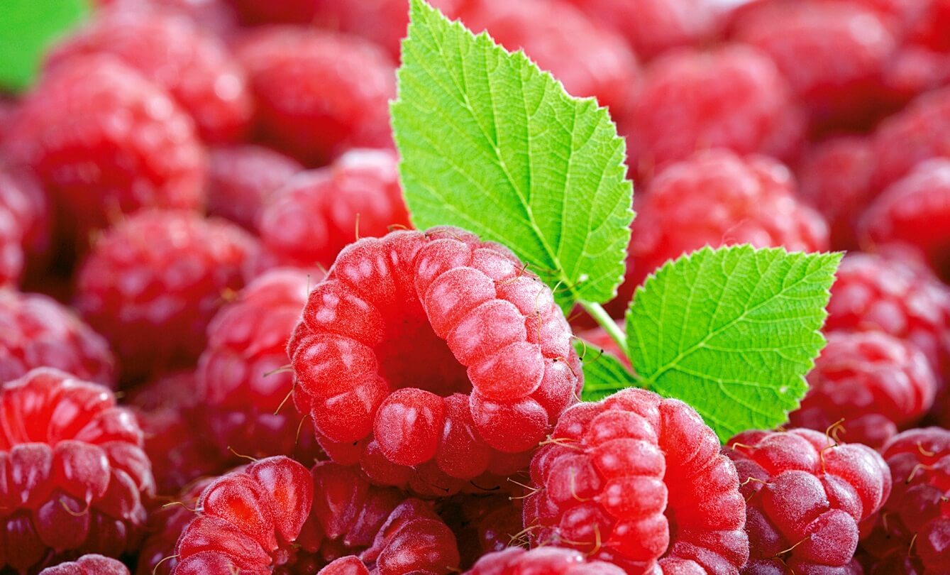 CFS Raspberry Beta