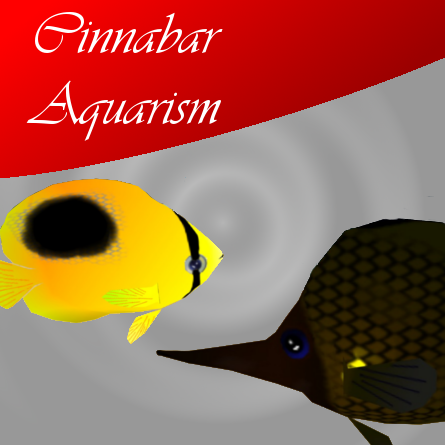 CA - Butterflyfish duo 1