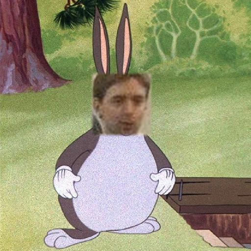 replace finn brice / tiy / tiyuri with big chungus