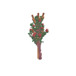Rose bush 3/3 sprouted