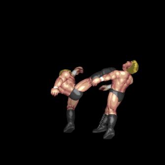 Force High Kick D