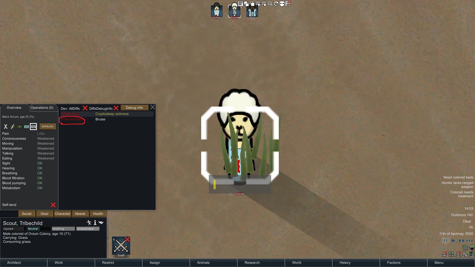 Screenshot 3