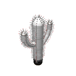 Saguaro