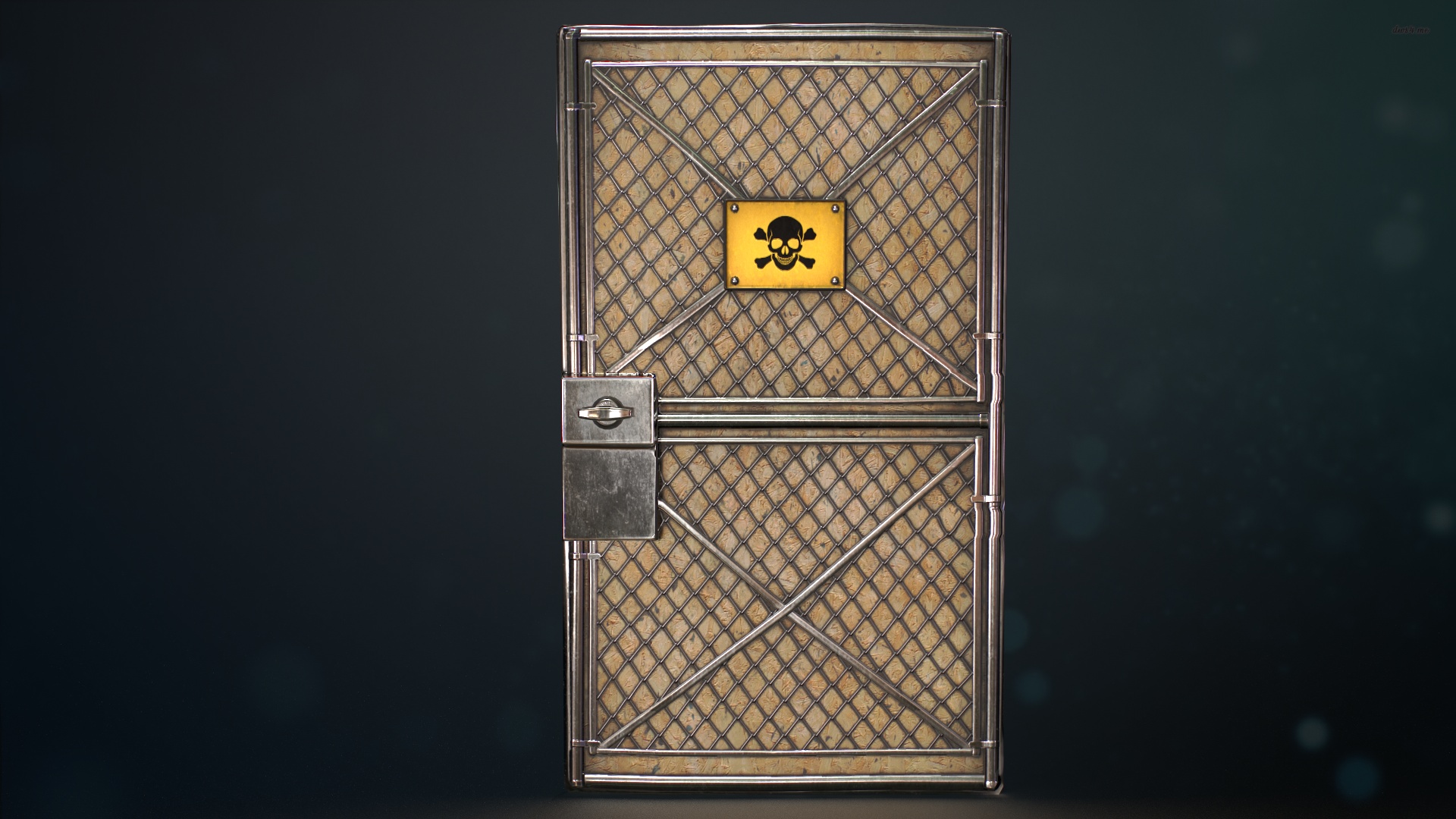 Chain Gate