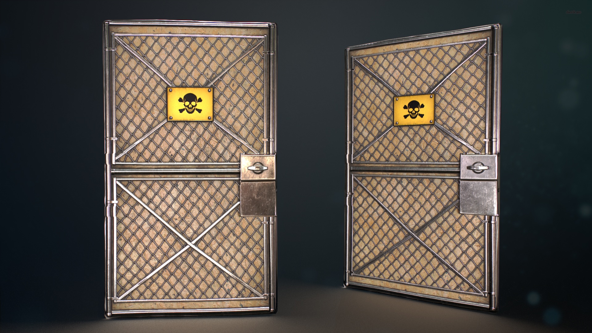 Chain Gate