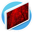 Red Sky Black Trees