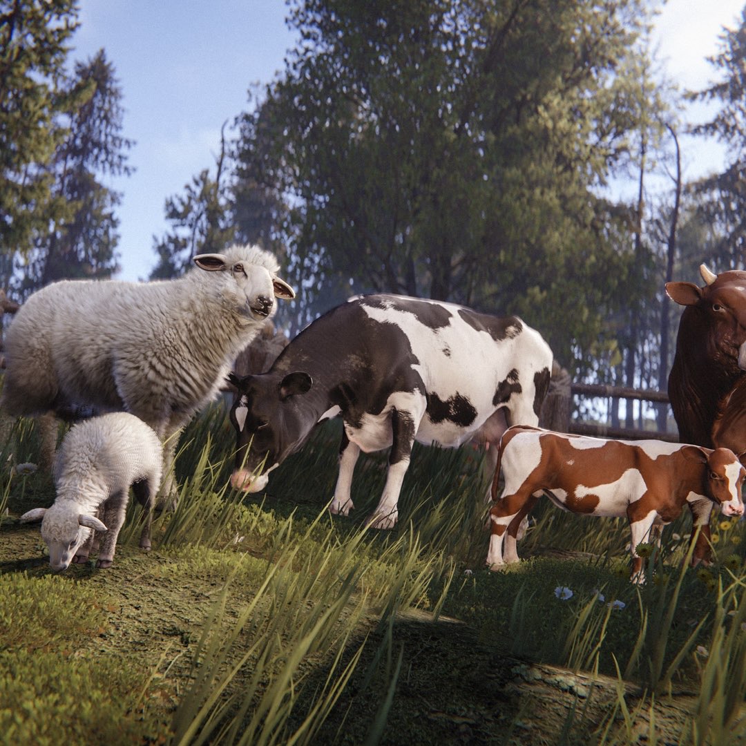 Steam Community :: Guide :: Proper breeding of cows and sheep in RUST