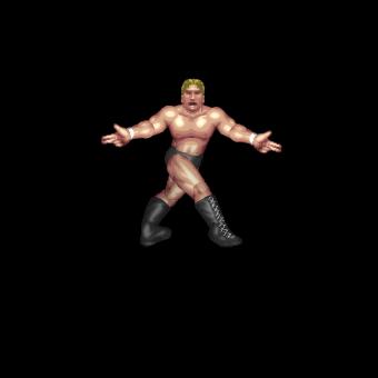 2nd Rope: Jeff Hardy (Cross Guns)