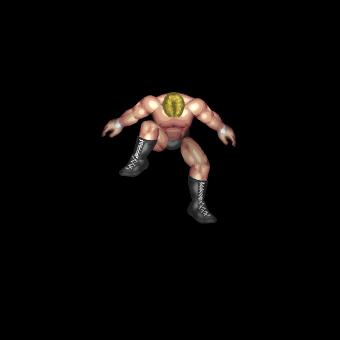 2nd Rope: Backflip Appeal