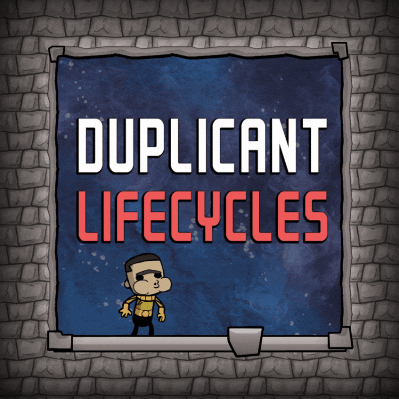 Duplicant Lifecycles