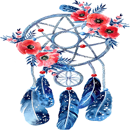 Blue and Coral Dream Catcher