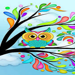 Colorful Owlie