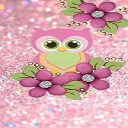 Pink Flower Owlie