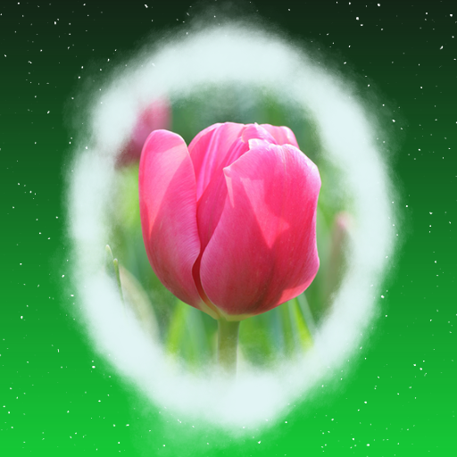 BilliumMoto - A Tulip for Genji