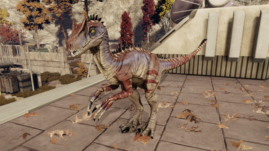 Fragilis Nova Mutation