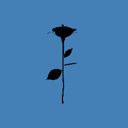 Red Rose