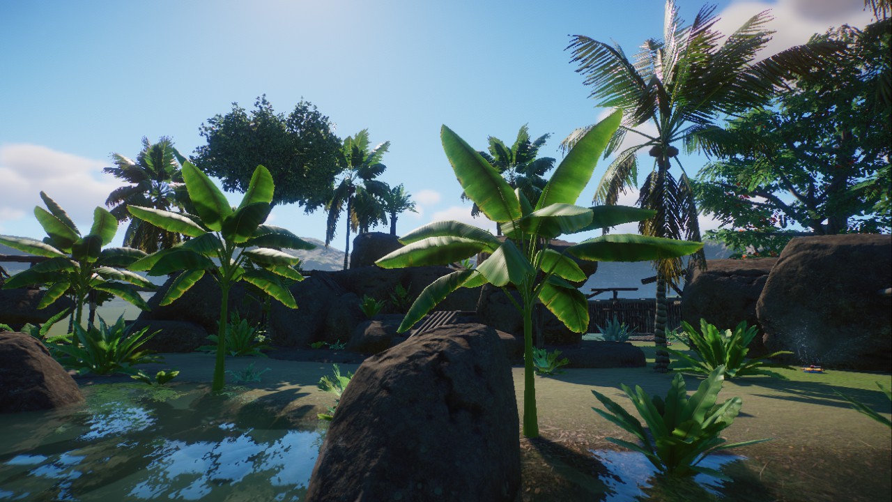 Mandrill Habitat