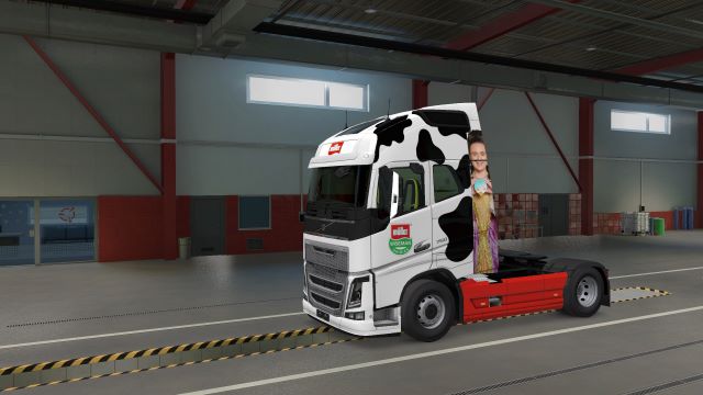 Muller Volvo FH Truck Skin